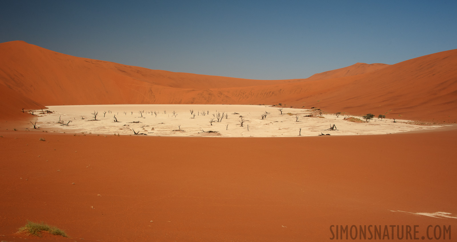 Namib-Naukluft National Park [32 mm, 1/200 sec at f / 16, ISO 400]